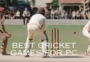 Best Cricket Games for PC